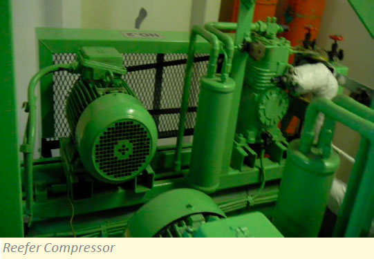 Reefer Compressor