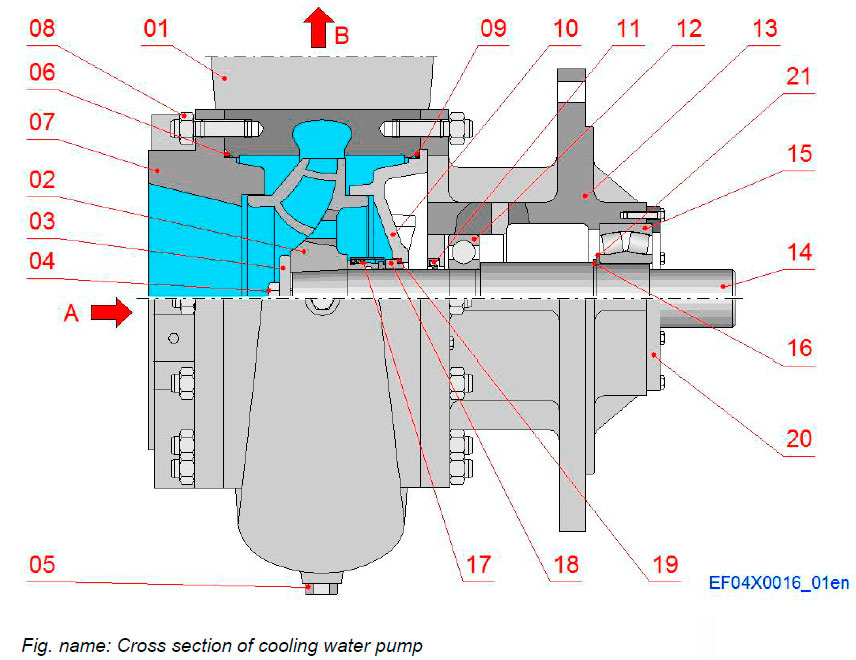 Cross section of cooling water pump