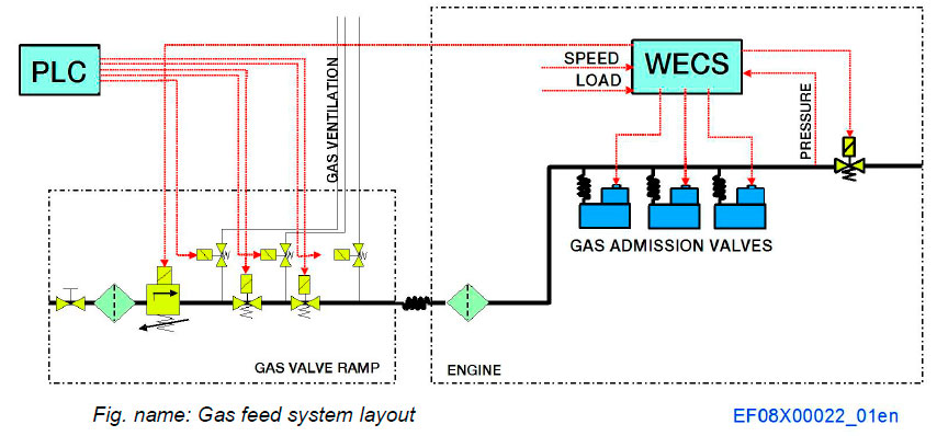 Gas feed system layout