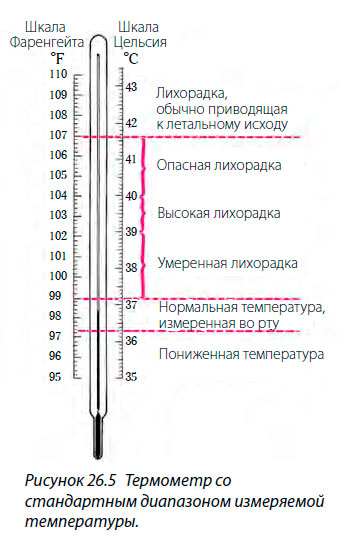 Термометр со
стандартным диапазоном измеряемой температуры