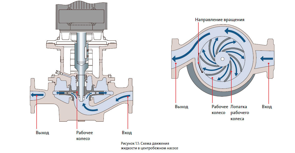 Схема движения жидкости в центробежном насосе