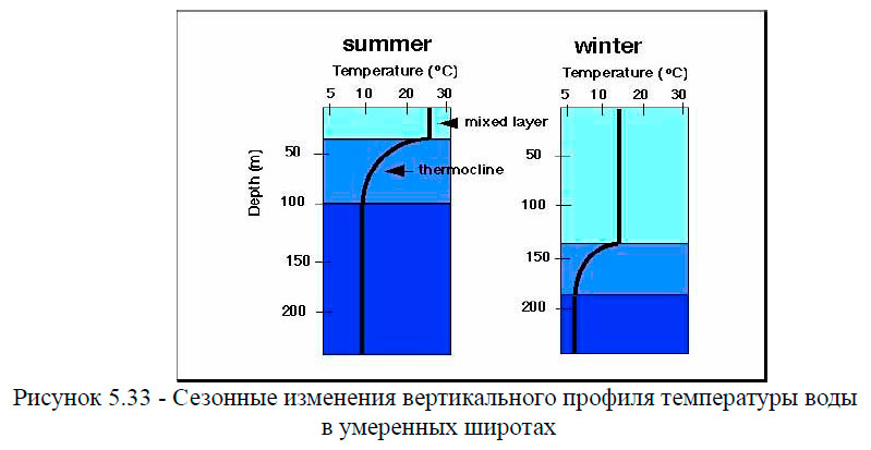 Сезонные изменения вертикального профиля температуры воды в умеренных широтах