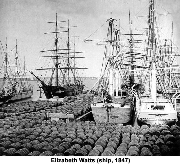 Elizabeth Watts (ship, 1847)